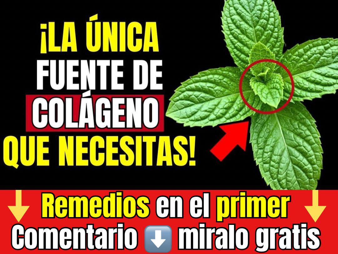 Adiós a las piernas débiles! 11 vegetales ricos en colágeno