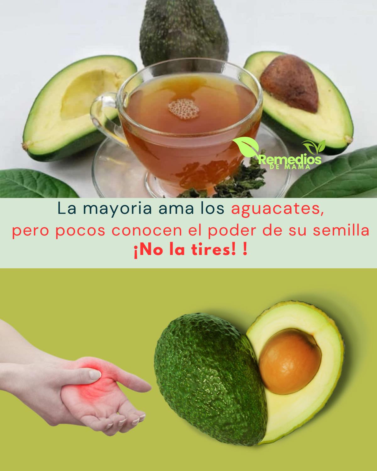Muchos Comen Aguacate y Botan lo Más Importante