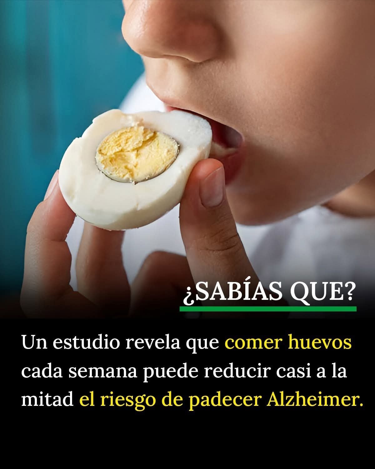 HUEVOS Y MEMORIA: UN ALIADO CONTRA EL ALZHEIMER