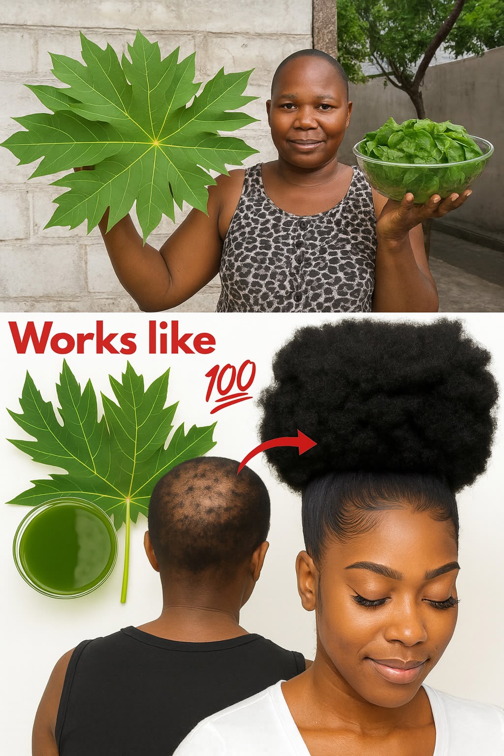 Hojas de Papaya: El Secreto Ancestral para un Crecimiento Extremo del Cabello que Te Hará Brillar