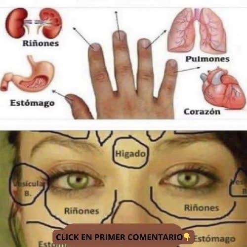 Tu rostro te avisa cuando algo anda mal en cada órgano del cuerpo
