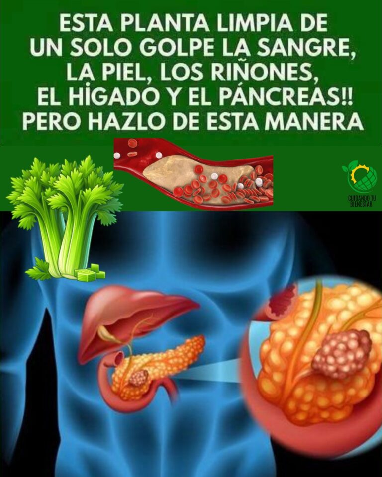 EL apio la planta que cura todo