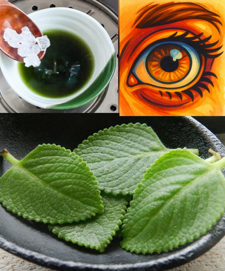 Cómo Tener Mejor Visión de Forma Casera con Plantas Naturales