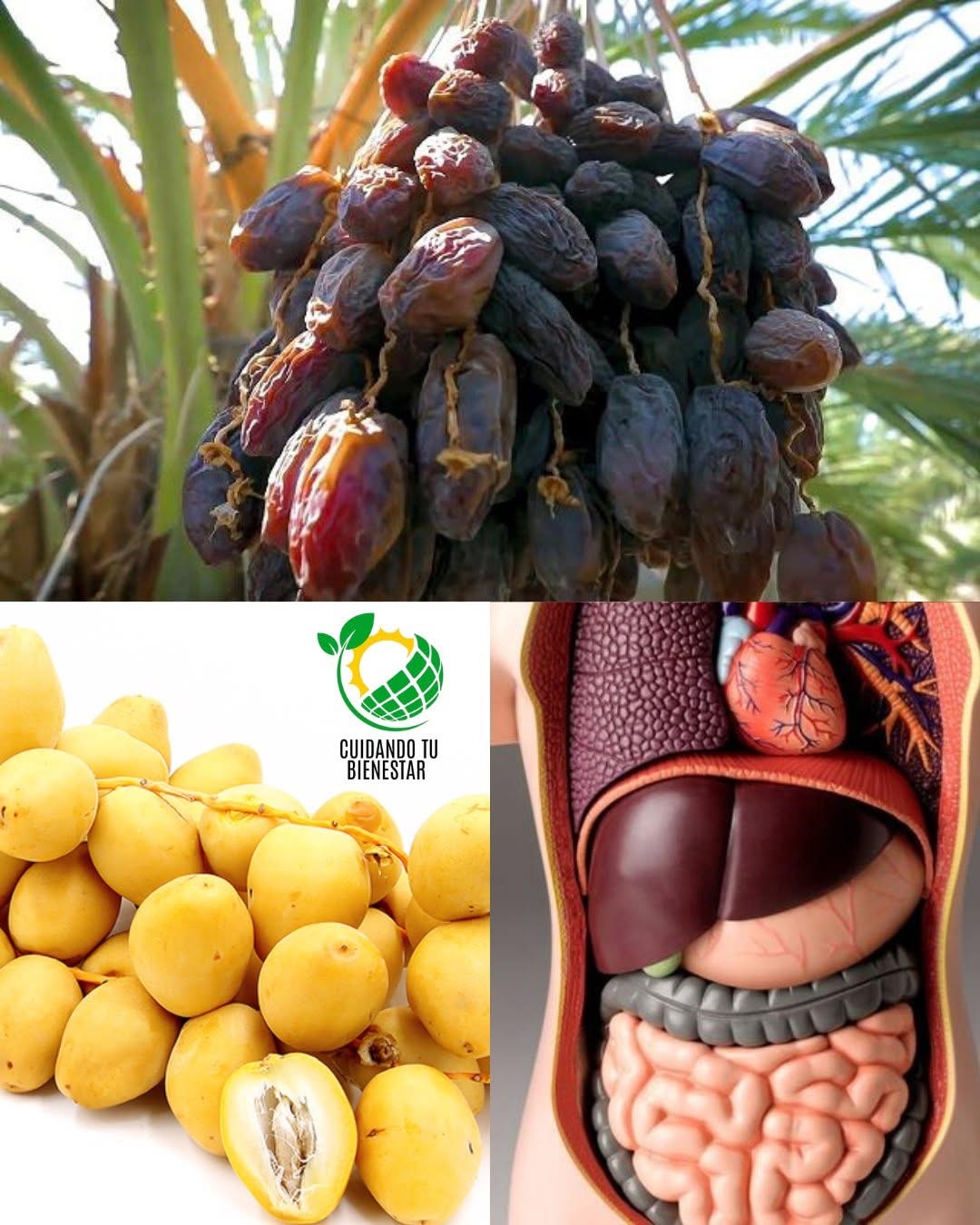 La fruta más poderosa: Cómela 1 vez por noche y tu cuerpo perderá grasa