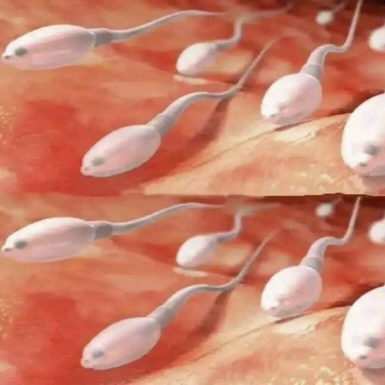 Tu cuerpo te lo agradecerá