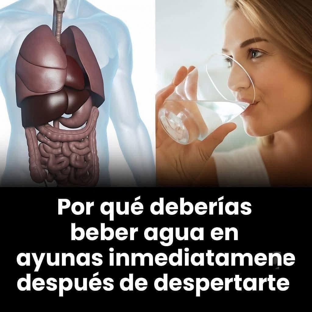 Por qué debes tomar agua en ayunas todas las mañanas