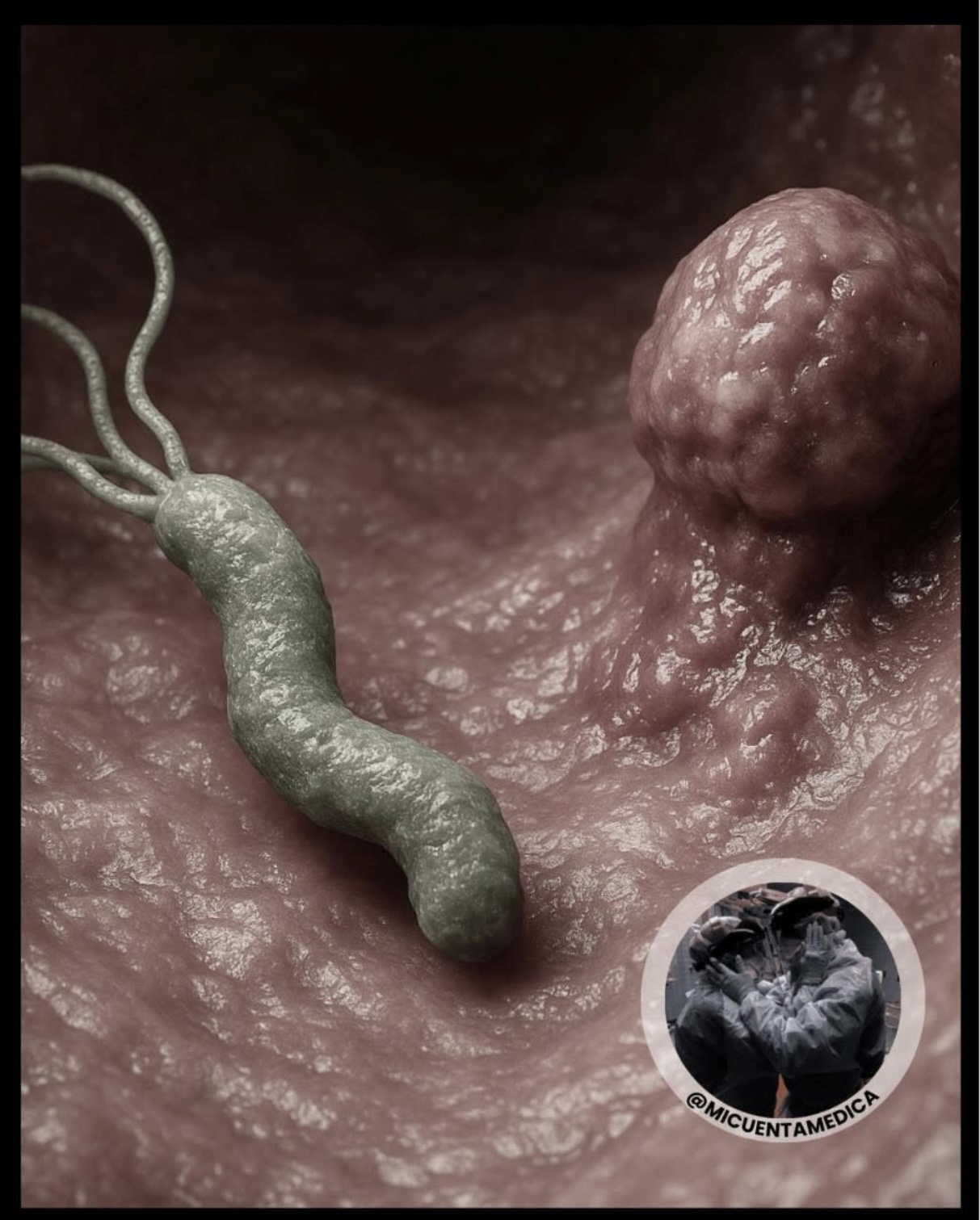 La bacteria que habita en más de la mitad de la población