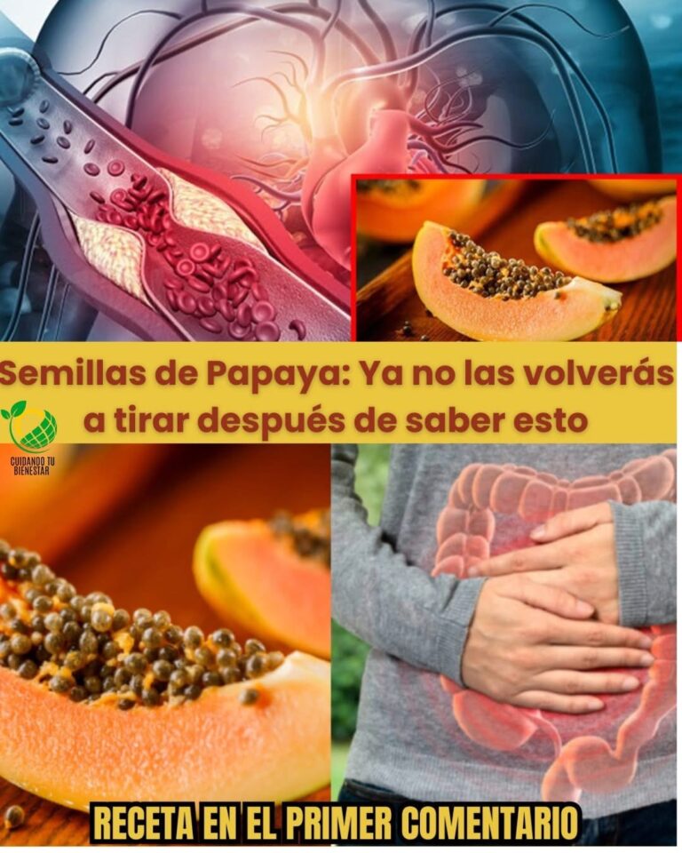 15 funciones que hacen las semillas de papaya en tu cuerpo