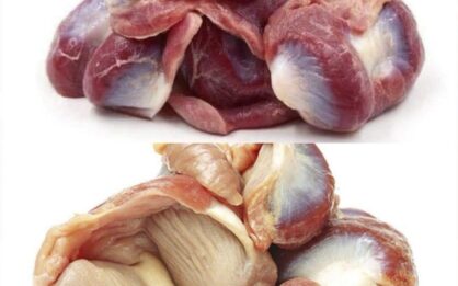 Molleja de pollo: todo lo que debes saber sobre sus beneficios, riesgos y cómo prepararla img