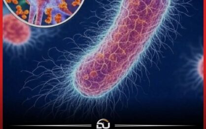Bacteria, Virus y Esclerosis Múltiple: Lo Que La Ciencia Realmente Ha Descubierto img