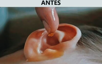 4 gotas en tu oído y volverás a escuchar como antes img