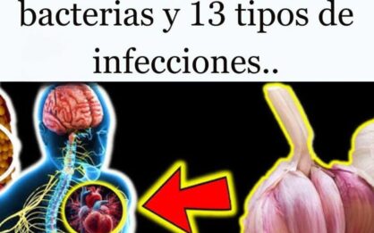 El ajo acaba con 14 tipos de bacterias y 13 tipos de infecciones img