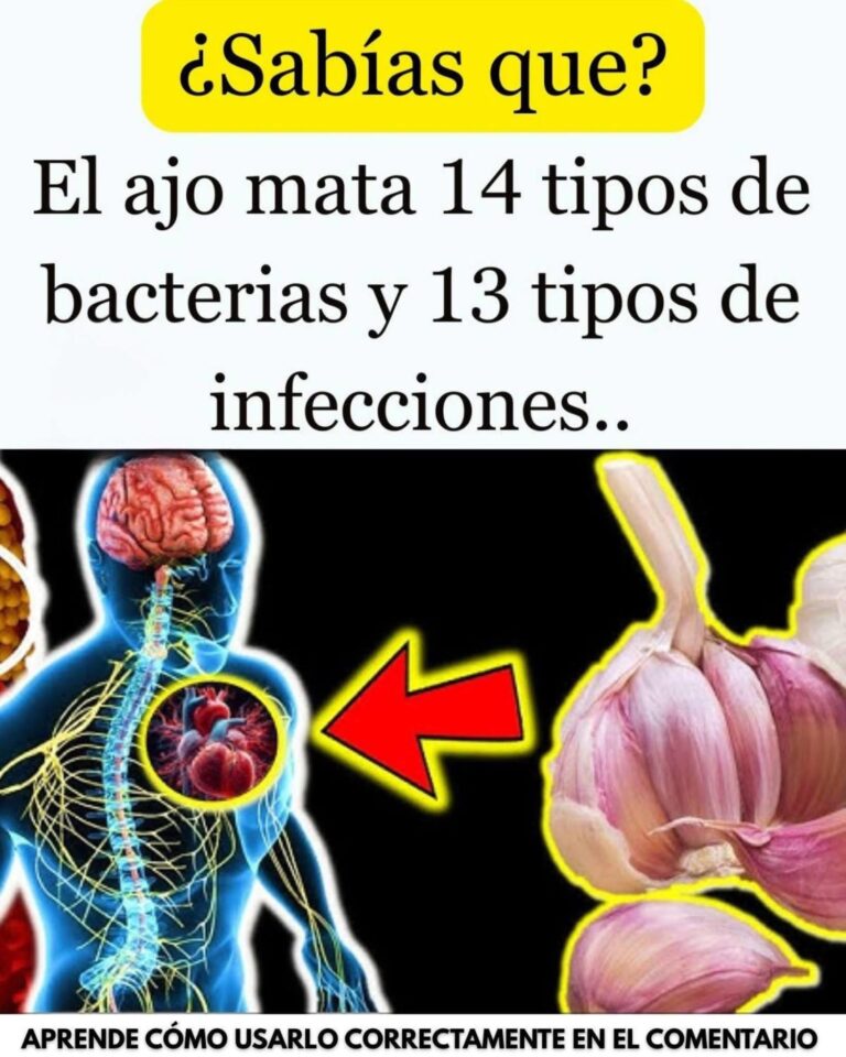 El ajo acaba con 14 tipos de bacterias y 13 tipos de infecciones