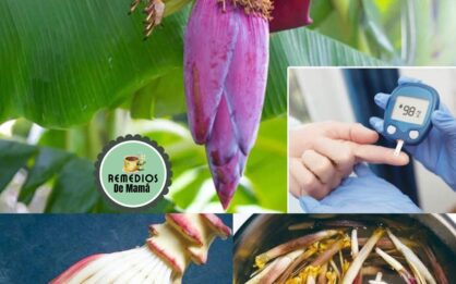 ¿Anemia o Diabetes? La Flor de Plátano Tiene la Solución img