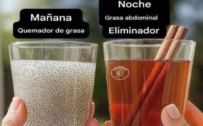 Agua de chía en la mañana y agua de canela en la noche para perder peso img