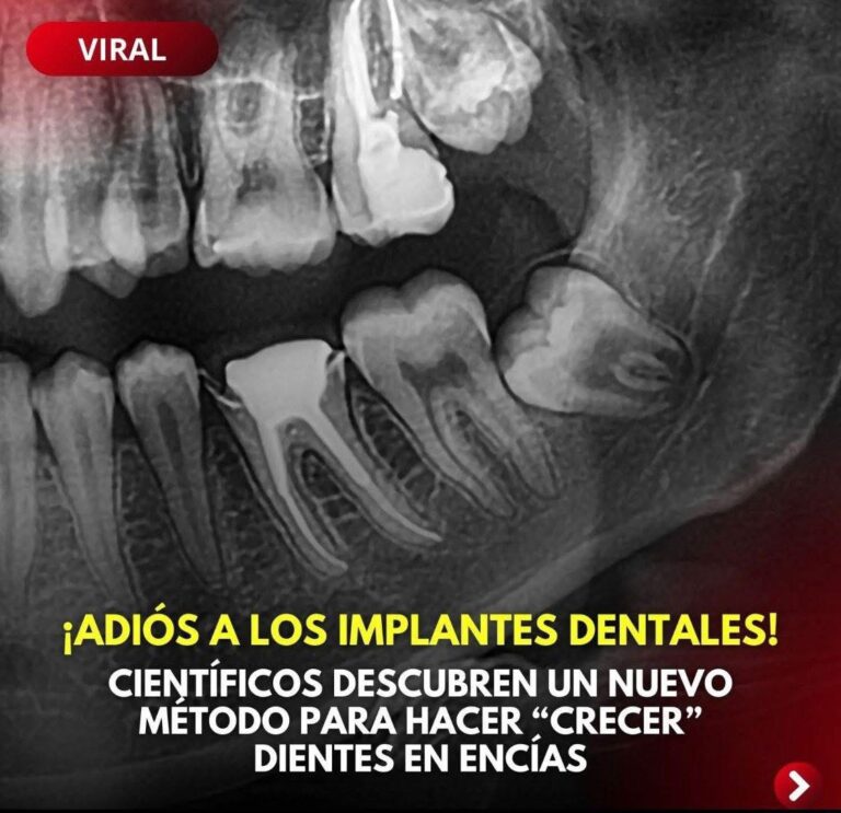 Científicos encontraron método para hacer crecer dientes