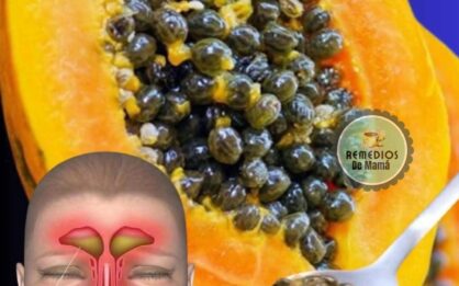 Semillas de papaya: el remedio natural que puede ahorrarte mucho dinero en la farmacia img