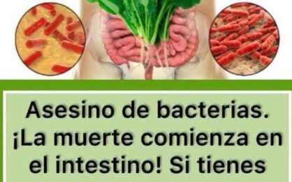 Dile a Dios a la baterías con esta milagrosa planta img