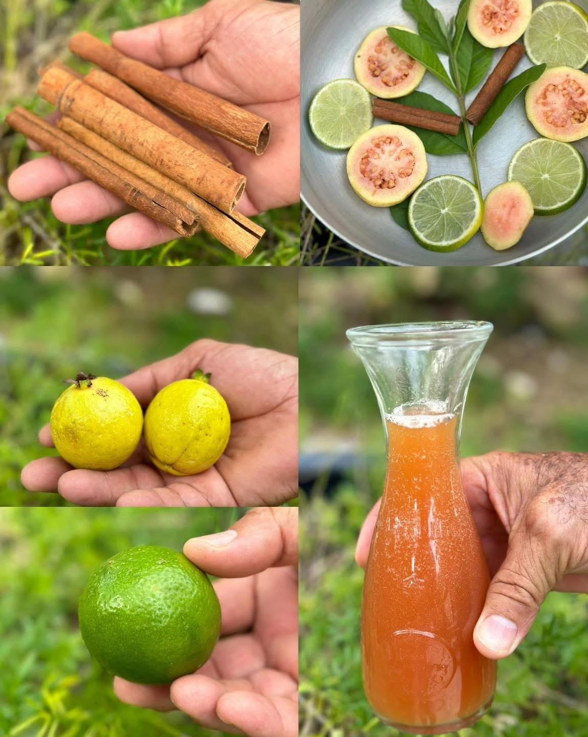 Toma el té de guayaba con canela: beneficios, receta y cómo aprovecharlo