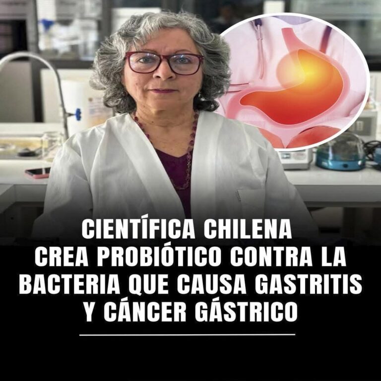 Probiótico chileno combate bacteria causante de gastritis y cáncer gástrico