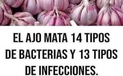 El ajo: beneficios, usos, evidencia científica y cómo aprovecharlo de manera segura img