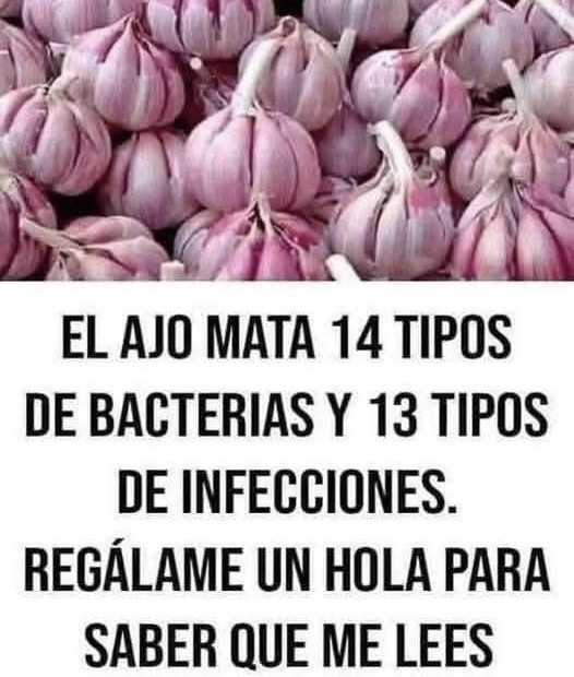 El ajo: beneficios, usos, evidencia científica y cómo aprovecharlo de manera segura