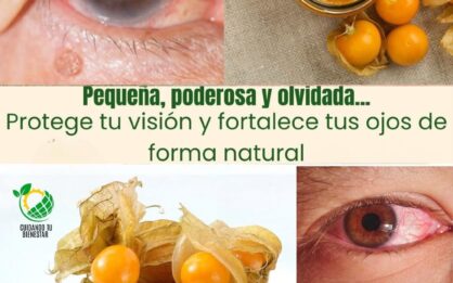 Descubre el poder de esta pequeña fruta para tu salud visual img
