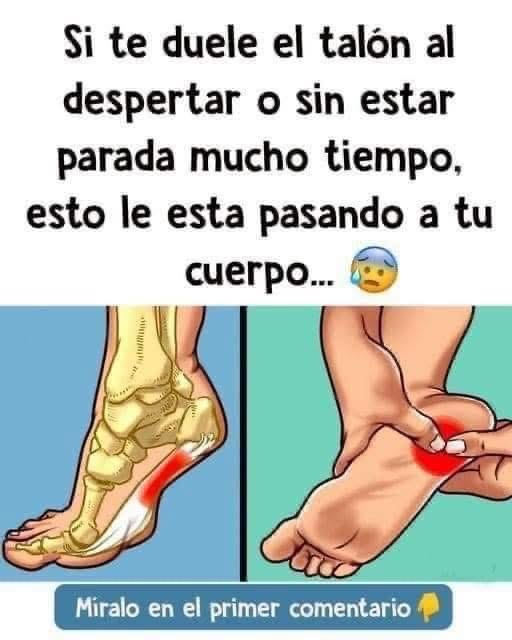 Si te duele el talón al despertar o sin estar parada mucho tiempo, esto le está pasando a tu cuerpo
