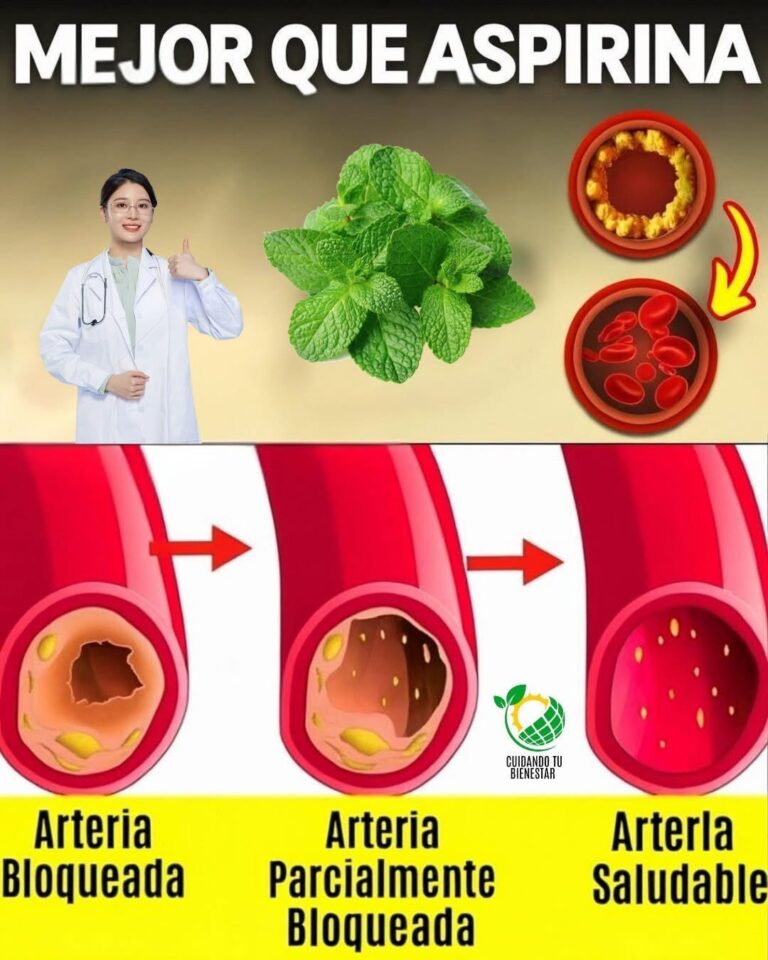 Di adiós a las arterias obstruidas con estos poderosos alimentos