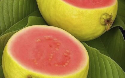 Médicos revelan que el consumo de guayaba produce sorprendentes beneficios img