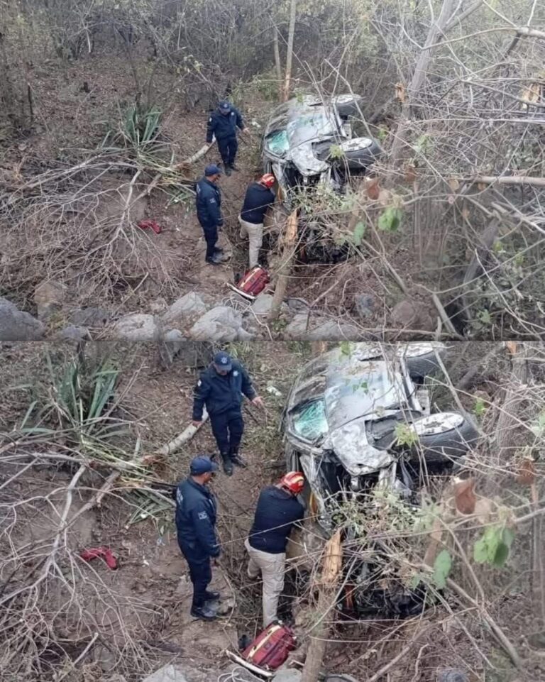 El carro cayó al vacío… pero lo que encontraron dentro dejó a todos sin palabras
