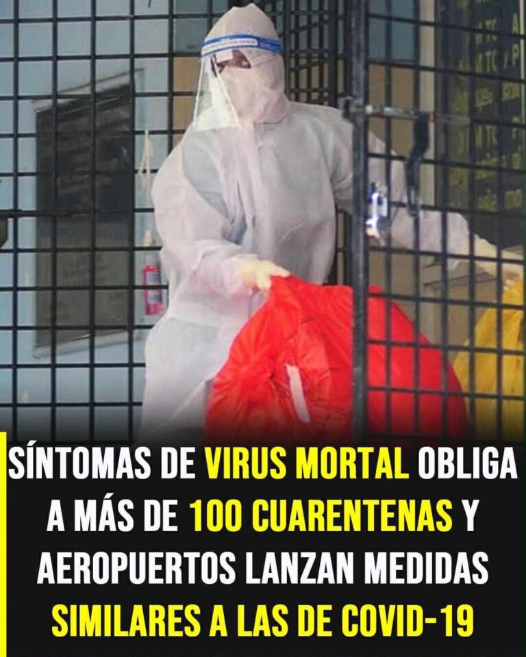 Alerta por el virus Nipah: qué es, cómo se transmite y por qué preocupa al mundo