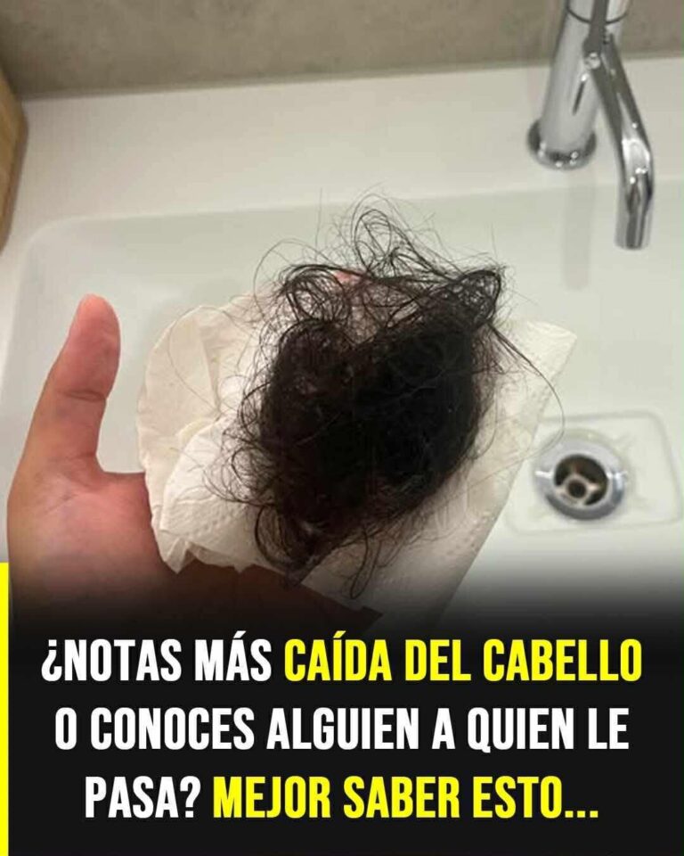 Caída del cabello: lo que realmente funciona para frenarla (según la ciencia)