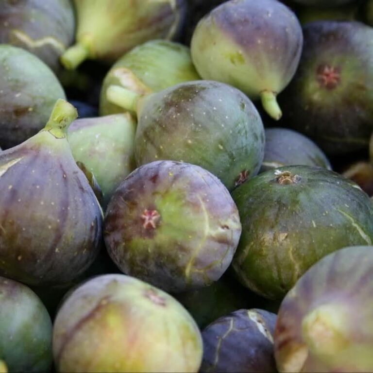 Médicos revelan lo que pasa en tu cuerpo cuando comes higos 😱