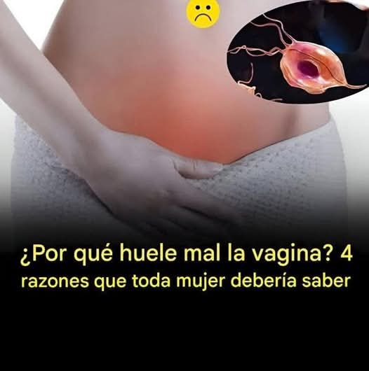 ⚠️ ¿Por qué huele mal la vagina? 4 razones que toda mujer debería conocer
