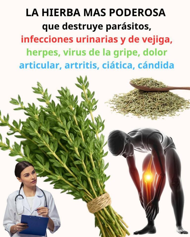🌿 La hierba natural que muchos están usando para apoyar su salud (y pocos conocen)