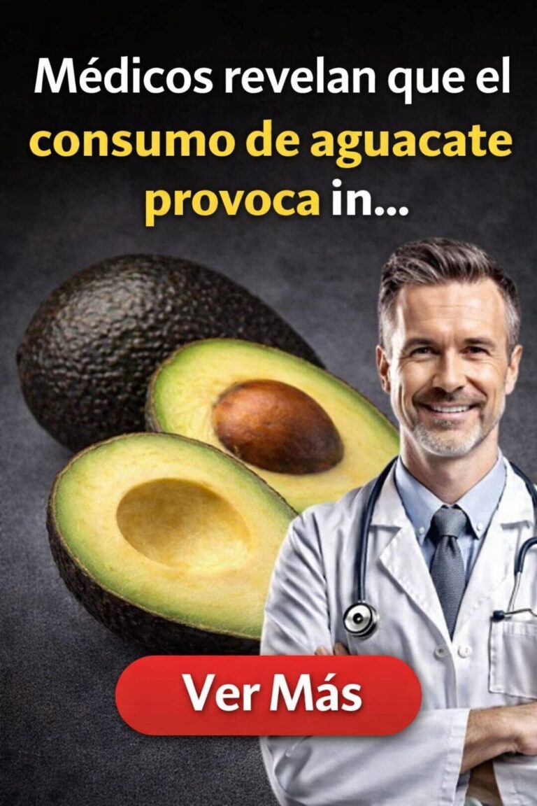 🥑 Médicos revelan qué pasa en tu cuerpo cuando comes aguacate todos los días… y pocos lo saben