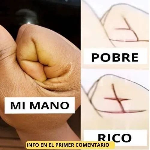 🖐️ ¿Tu mano revela si serás rico o pobre? Esto es lo que realmente significa