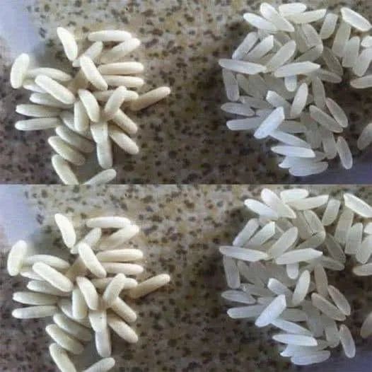🍚 ¿Arroz de plástico? La verdad que casi nadie te explica (y por qué todos están confundidos)