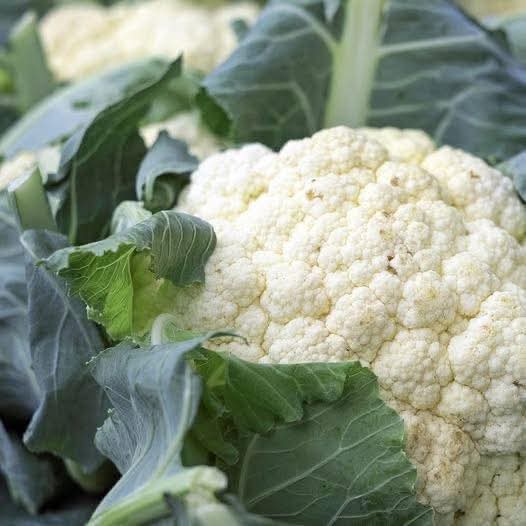 🥦 Los médicos revelan qué pasa realmente cuando consumes coliflor (no es lo que crees)