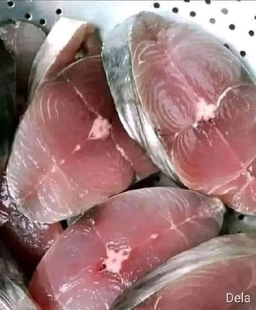 🐟 Médicos advierten: lo que realmente pasa en tu cuerpo cuando comes pescado