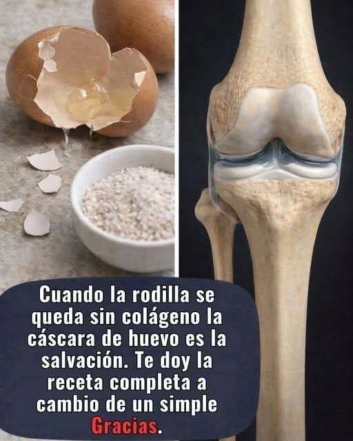 🥚 No vuelvas a tirar las cáscaras de huevo… pero cuidado con lo que te dicen