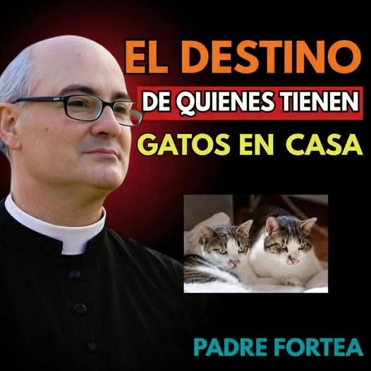 🐱 El destino de quienes tienen gatos en casa: mito, creencia y realidad