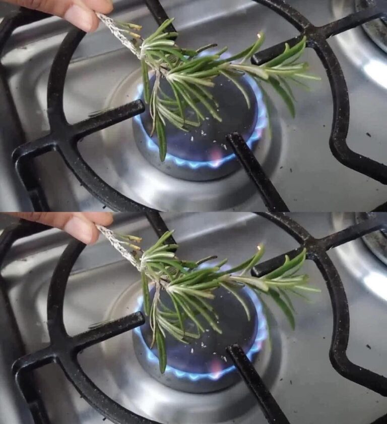 🌿 ¿Qué pasa cuando quemas romero en tu casa? Lo que muchos están descubriendo