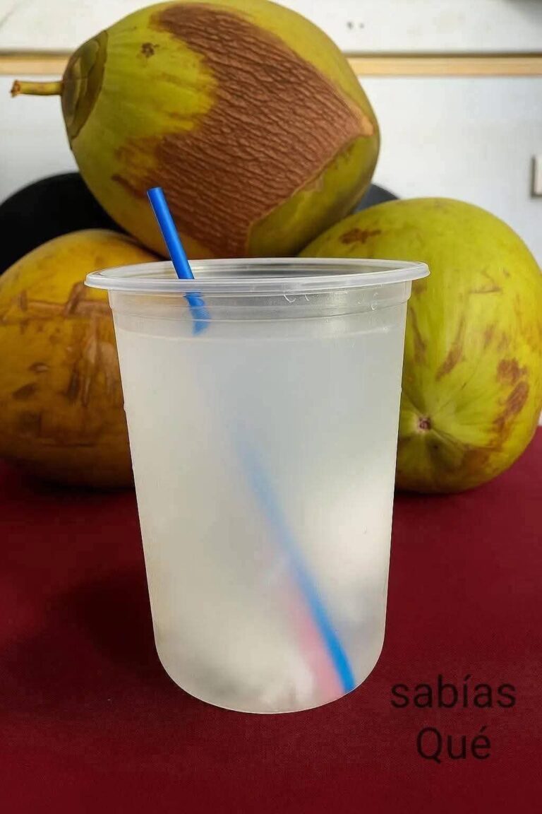 🥥 ¿El agua de coco es tan buena como dicen? Esto es lo que realmente afirman los expertos