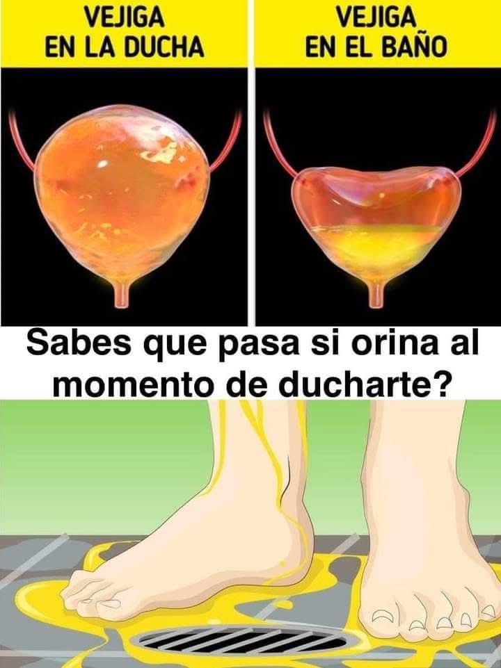 🚨 Orinar en la ducha: lo que realmente sucede y lo que nadie te explica