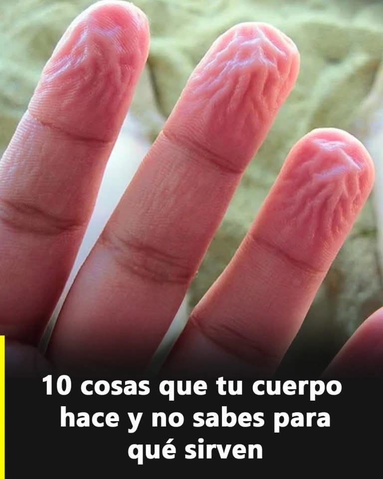 😲 10 reacciones del cuerpo humano que parecen extrañas… pero tienen explicación