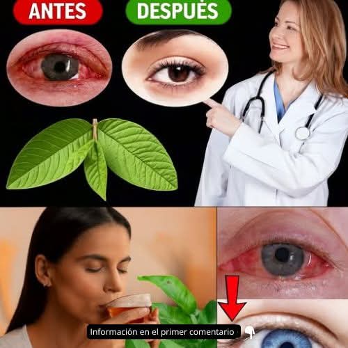 🚨 Coágulos en la sangre: las señales silenciosas que casi nadie nota a tiempo