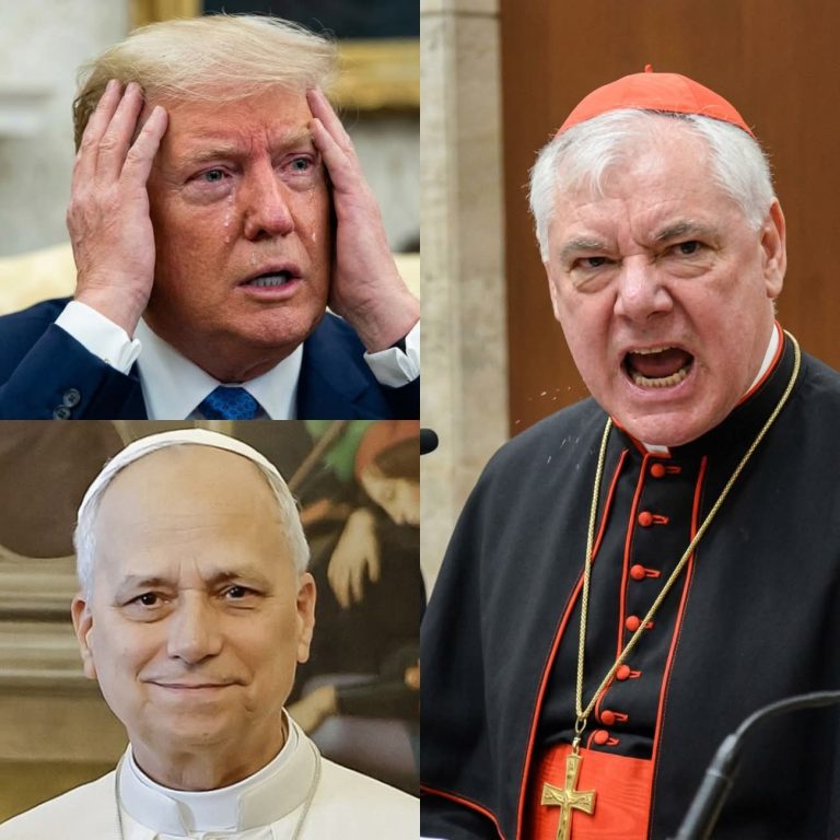 🚨 Tensión global: fuerte respuesta tras críticas a líder religioso desata polémica internacional