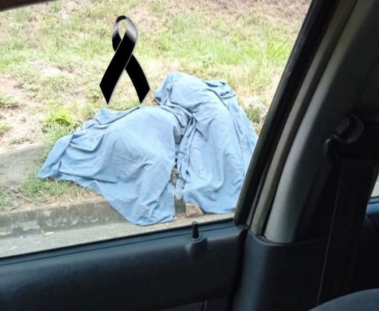 🚨 Hallazgo en plena vía Panamericana deja a conductores sin palabras